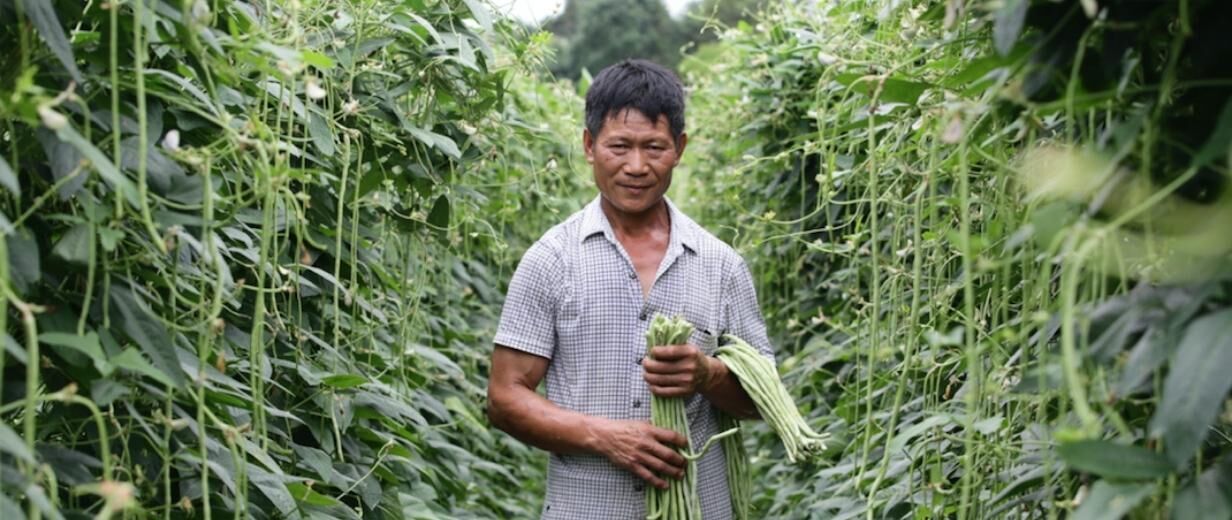GLS AI Mikrofinanzfonds - Kleinbauern unterstützen | Nachhaltig investieren mit der GLS Investments