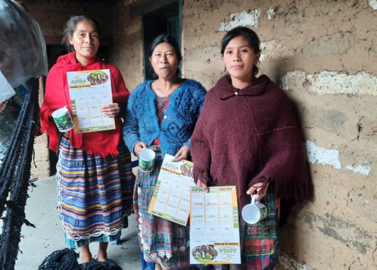 Insight Mikrofinanz Oktober - ADISA, Guatemala