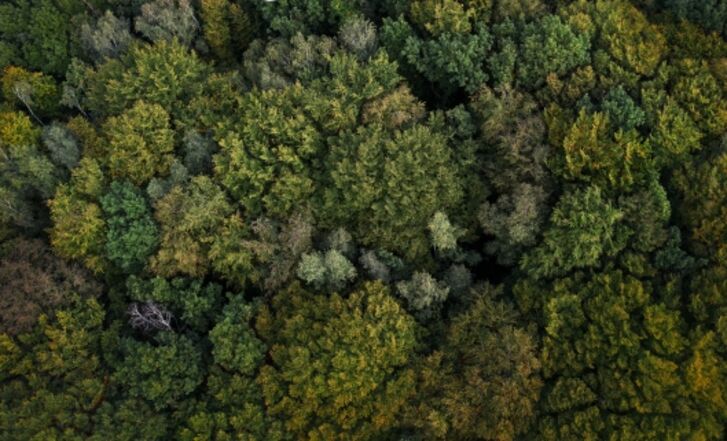 GLS Bank Rentenfonds - GLS Investments | Nachhaltige Geldanlage