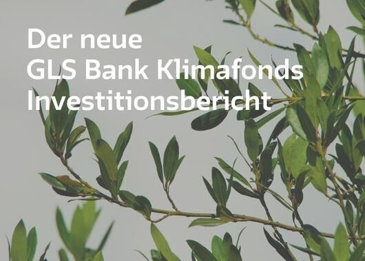 Ist eine Investition in den GLS Bank Klimafonds wirklich klimafreundlich?