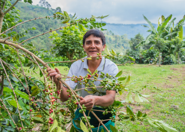Mehr lesen zu „Insight Mikrofinanz Juli - Norandino, Peru“
