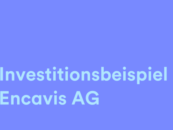 Investitionsbeispiel B.A.U.M. Fair Future Fonds 