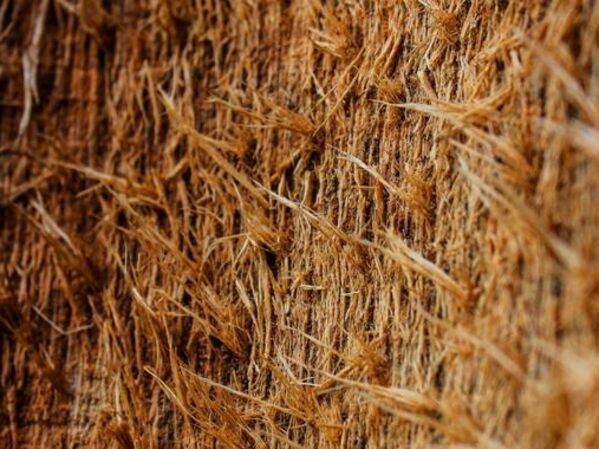 Investitionsbeispiel des GLS Bank Klimafonds du des GLS Bank Aktienfonds - ökologische Holzfaserdämmung