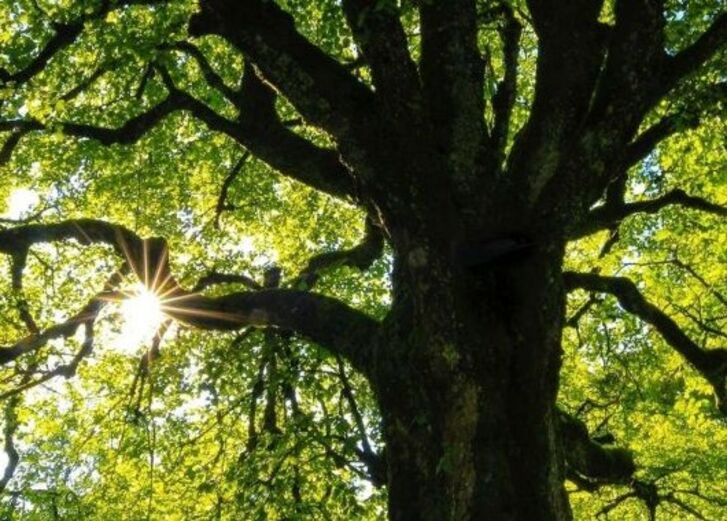 Mehr lesen zu „Ganzheitlich investieren: GLS Fonds jetzt auf der GLS Crowd Plattform kaufbar“