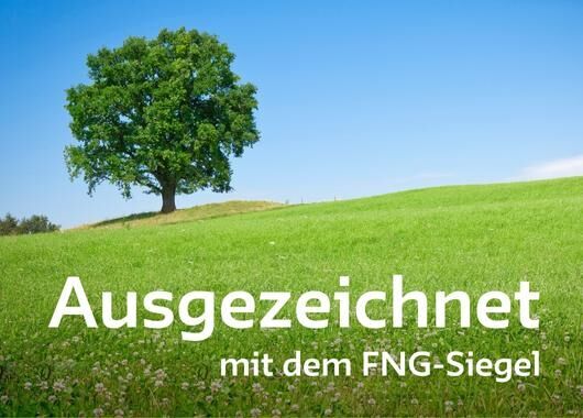 FNG-Siegel mit Bestnote für BfS Nachhaltigkeitsfonds