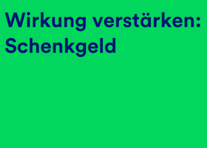Mehr lesen zu „Blogbeitrag: Investmentfonds - Wirkung verstärken mit Schenkgeld“