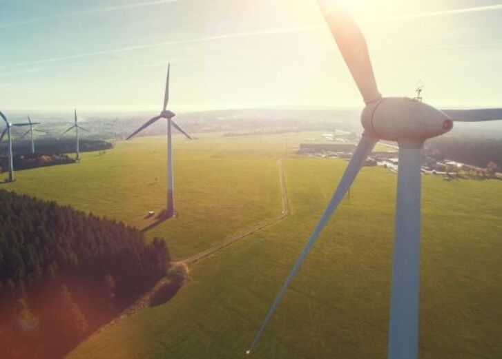 Windkraftanlagen in einer sonnigen ländlichen Landschaft mit Feldern und vereinzelten Bäumen.